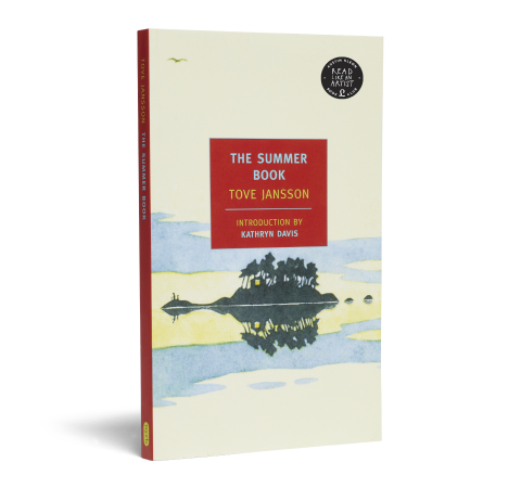 The Summer Book book image