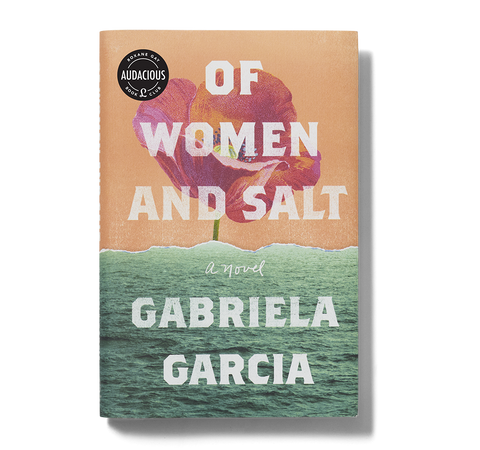 Of Women and Salt book image
