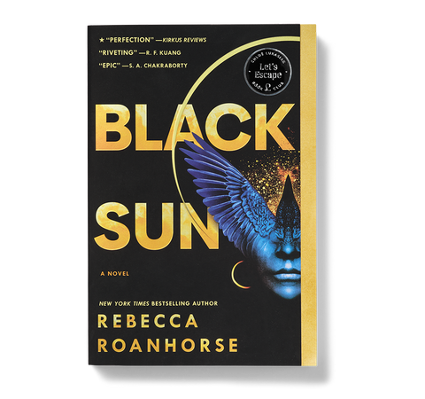 Black Sun book image
