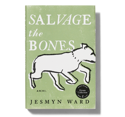 Salvage the Bones book image
